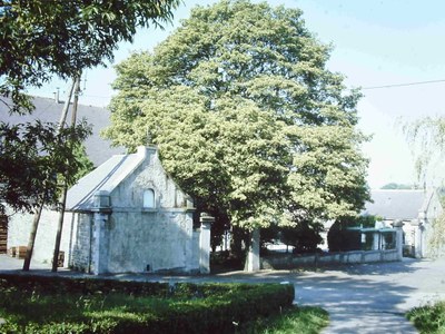 L'Arbre du Centenaire