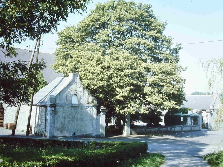 L'Arbre du Centenaire