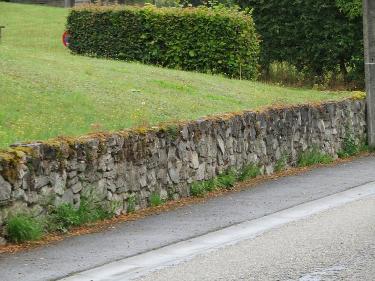 Mur en pierres sèches