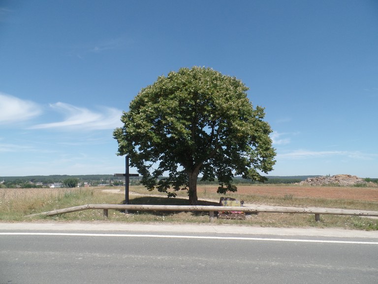 Croix de Nismes