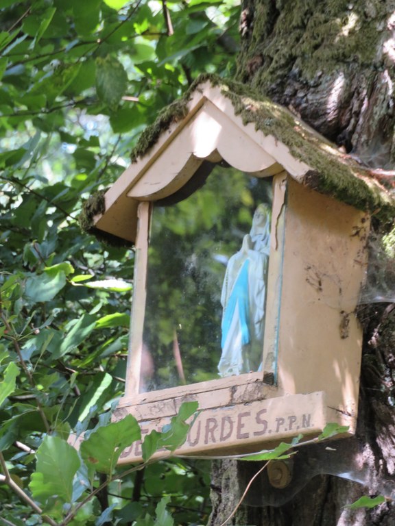 Chêne avec Statue de N-D Rodrigue