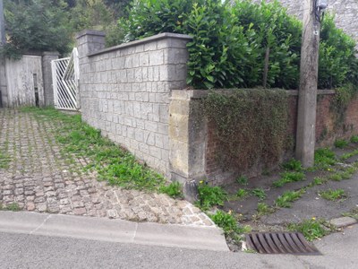 Chasse-roues