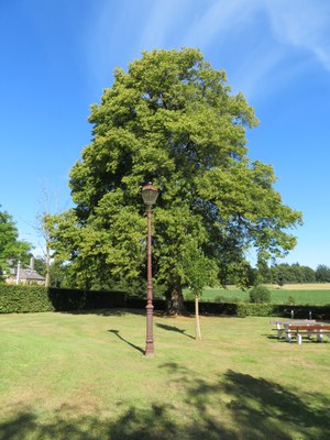 Cinq réverbères