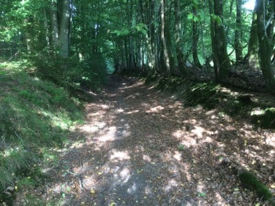 Chemin de Oignies