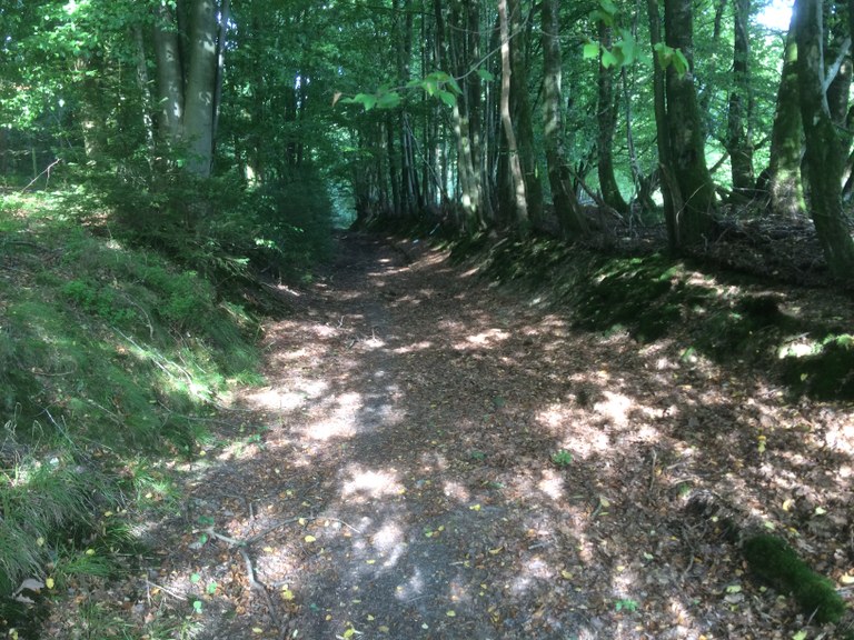 Chemin de Oignies