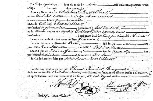 Martelleur Adolphine