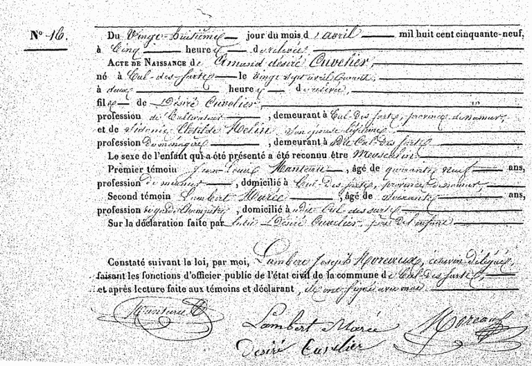 Cuvelier Amand-Désiré